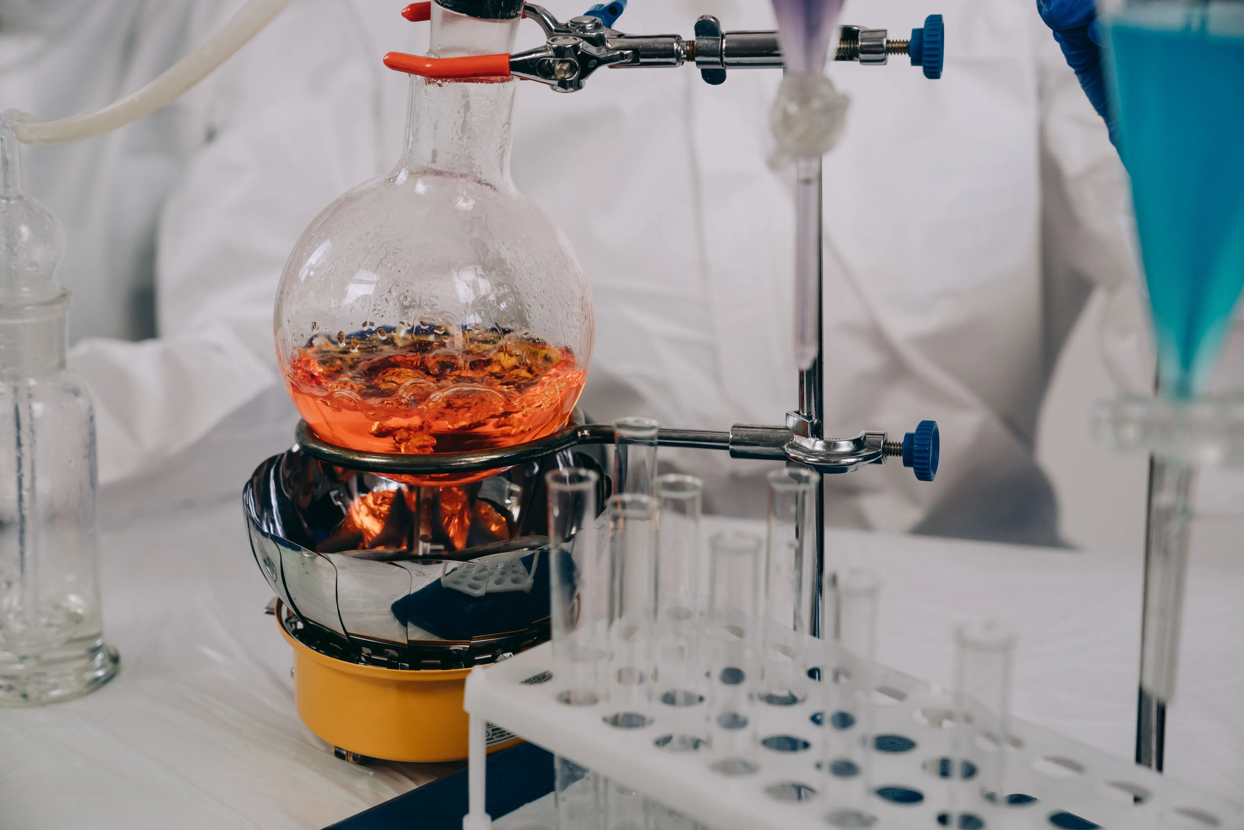 Target & Biomarker Validation