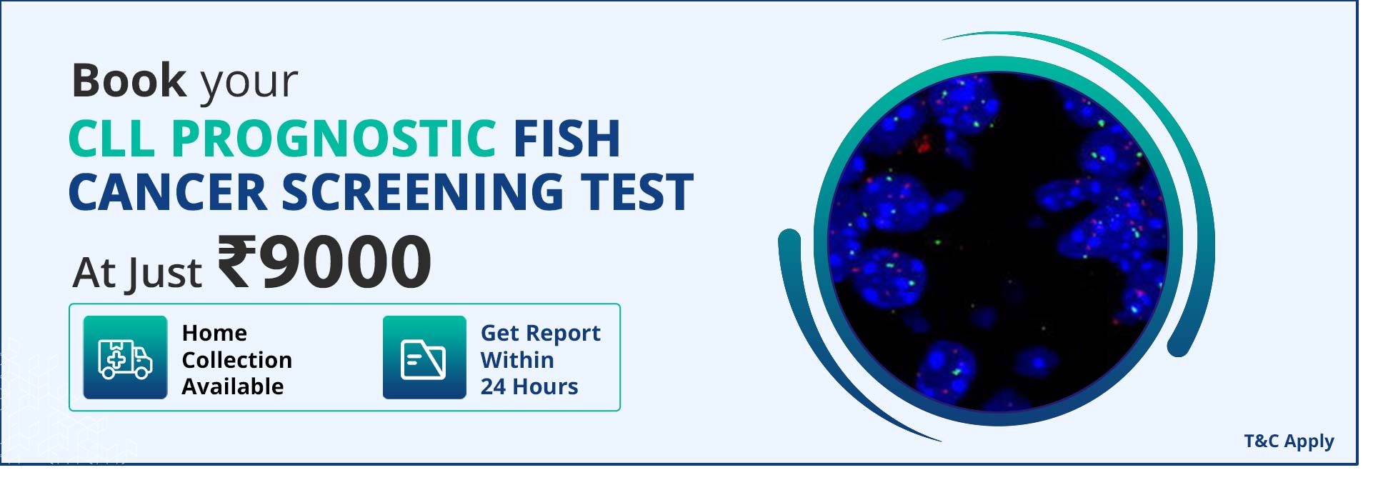 CLL Prognostic Fish Cancer Screening Test