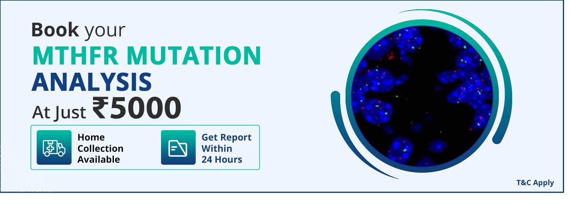MTHFR mutation analysis